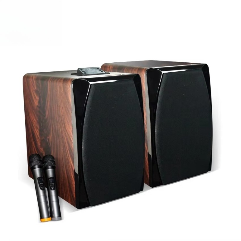 High Performance Active Karaok - Audio Music Dj ulasan dan harga
